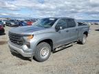 2023 CHEVROLET SILVERADO - 3GCPDAEK6PG234880