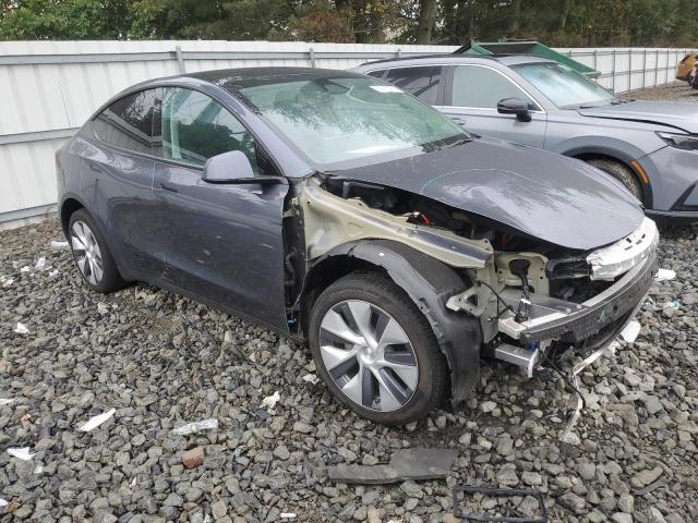 2023 TESLA MODEL Y #3308453288