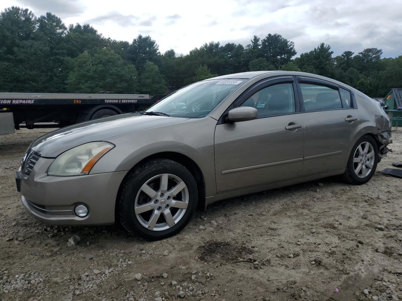Lot #3240140126 2004 NISSAN MAXIMA SE