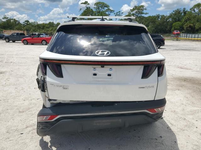 2022 HYUNDAI TUCSON BLUE KM8JBCA10NU028240