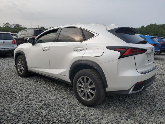 2021 LEXUS NX 300H BA JTJDJRDZ7M5011515