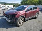 Top Destinations for Shipping Cars from the USA