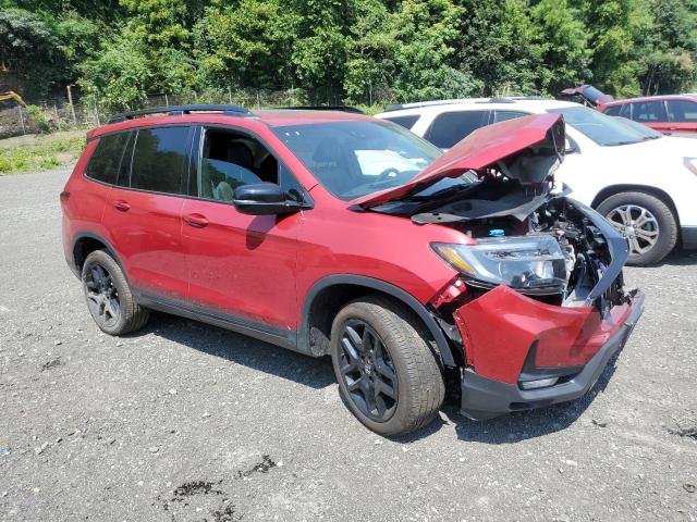 2024 HONDA PASSPORT B 5FNYF8H83RB023152