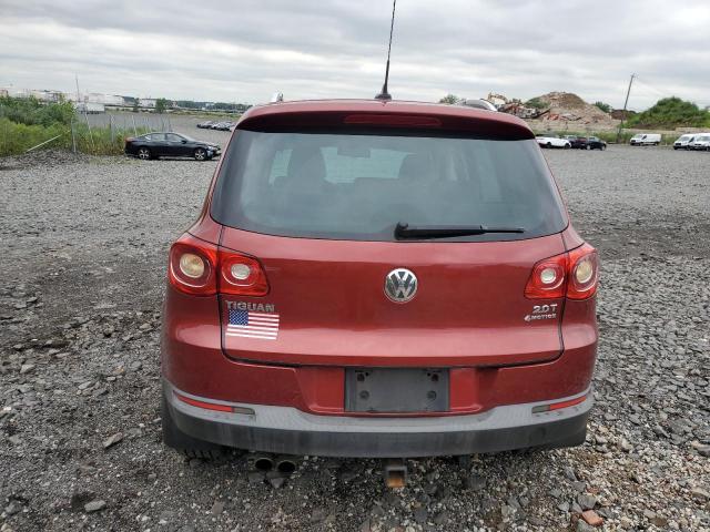 2010 VOLKSWAGEN TIGUAN SE - WVGBV7AX2AW000641
