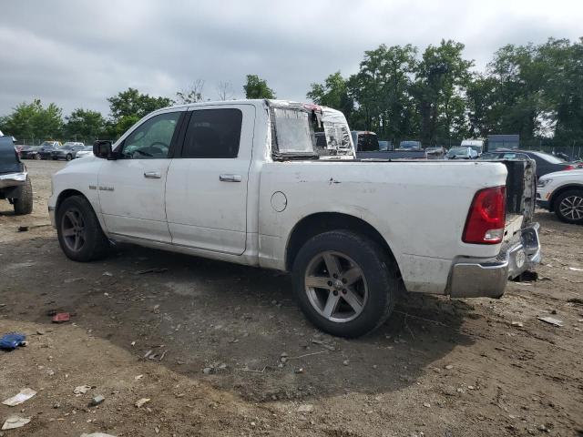 2010 DODGE RAM 1500 C - 1D7RB1CT3AS195553