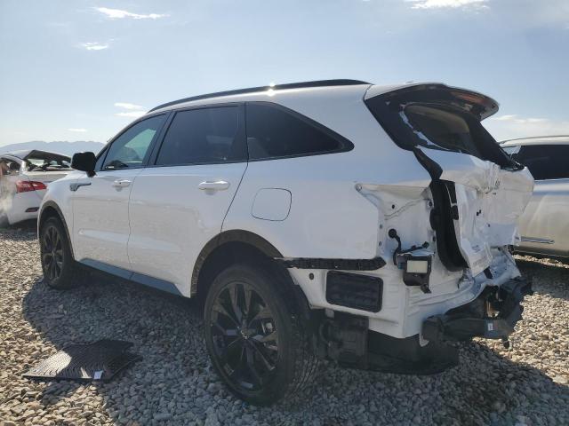 2023 KIA SORENTO SX 5XYRKDLF2PG237344