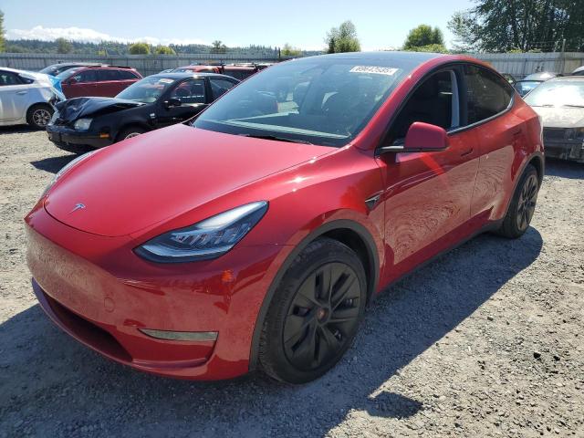 Global Auto Auctions: 2023 TESLA MODEL Y