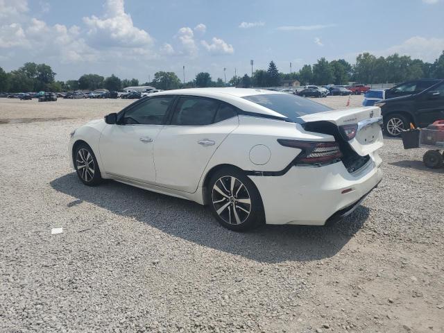 2019 NISSAN MAXIMA S 1N4AA6AV0KC361329