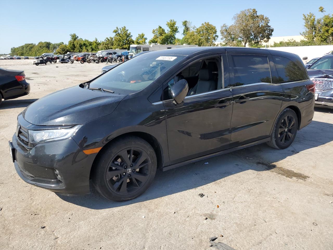 HONDA ODYSSEY SPORT