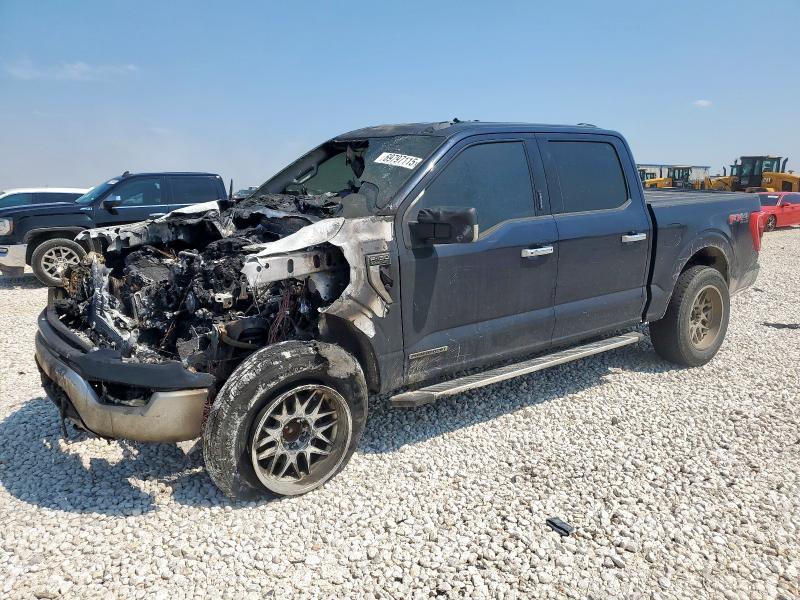 2023 FORD F150 SUPERCREW #3310619286