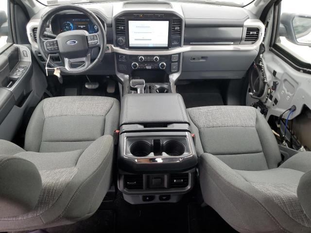 2023 FORD F150 LIGHT 1FT6W1EV6PWG37551