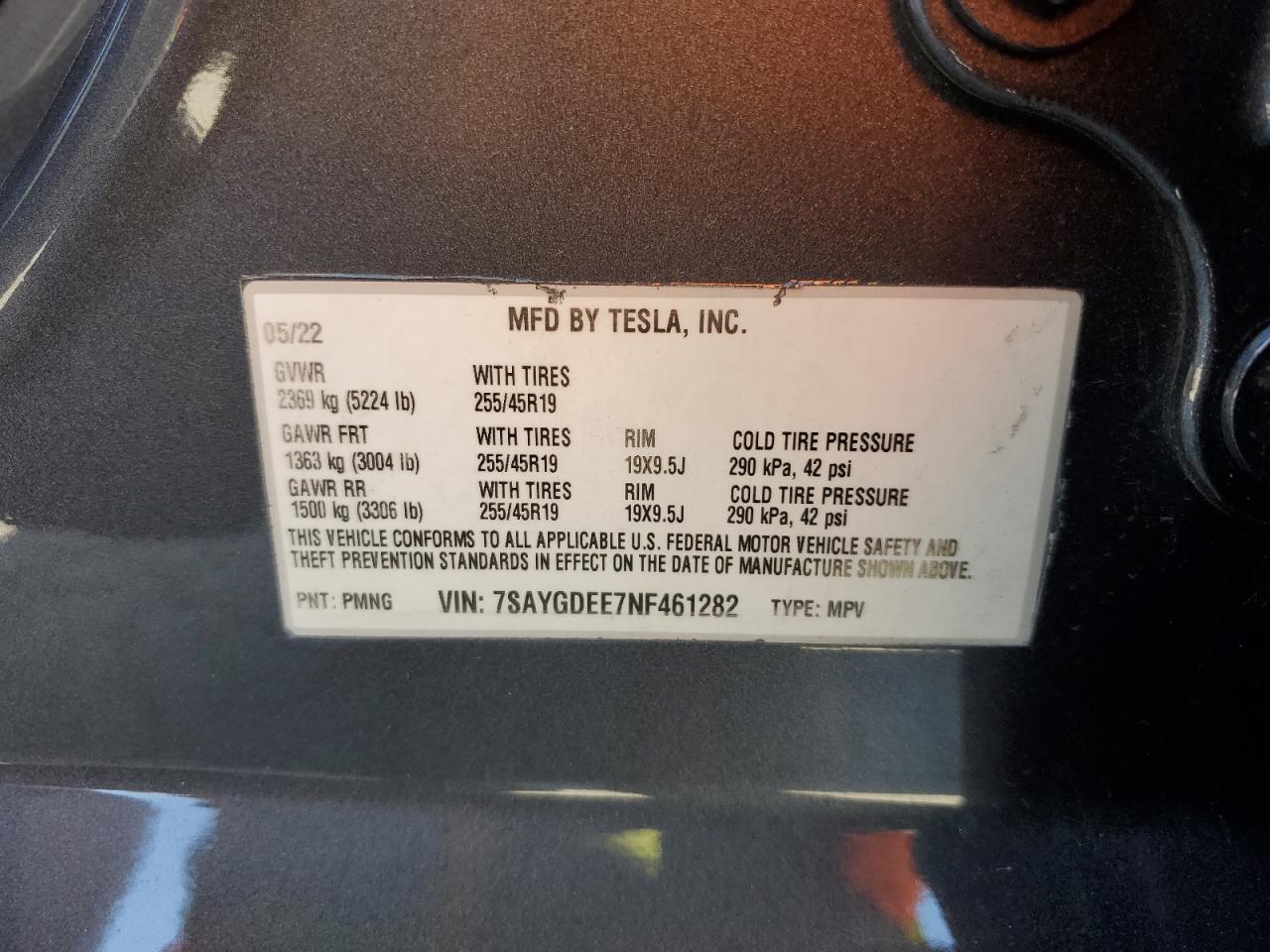 TESLA MODEL Y