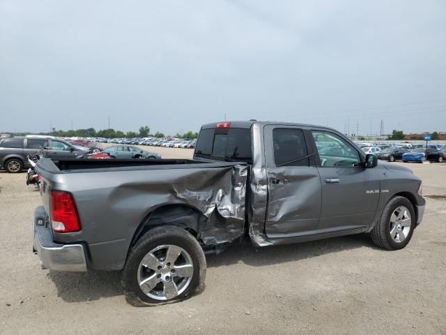 2010 DODGE RAM 1500 - 1D7RB1GT4AS106194