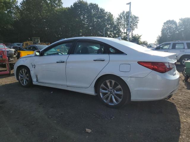 2013 HYUNDAI SONATA SE - 5NPEC4AC5DH532169