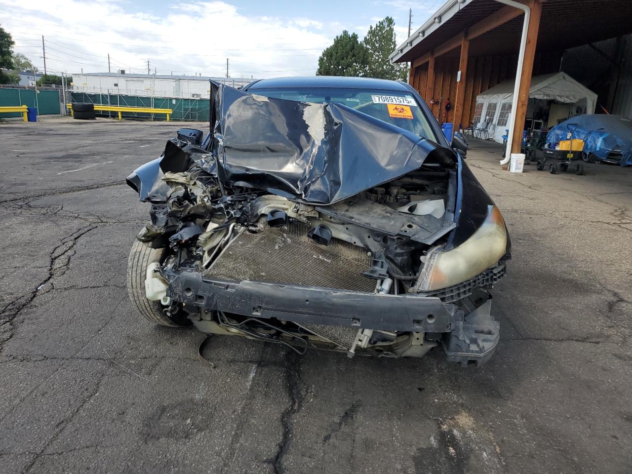 Lot #3255448404 2010 HONDA ACCORD LXP