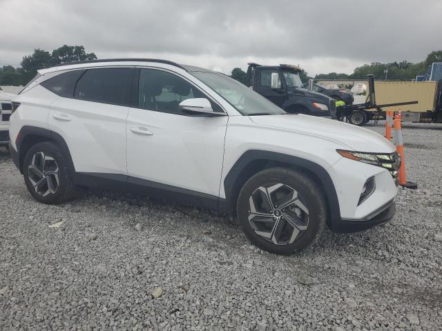 2022 HYUNDAI TUCSON LIMITED KM8JECA10NU083116