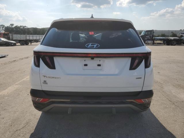 2024 HYUNDAI TUCSON LIM 5NMJECDE3RH369915