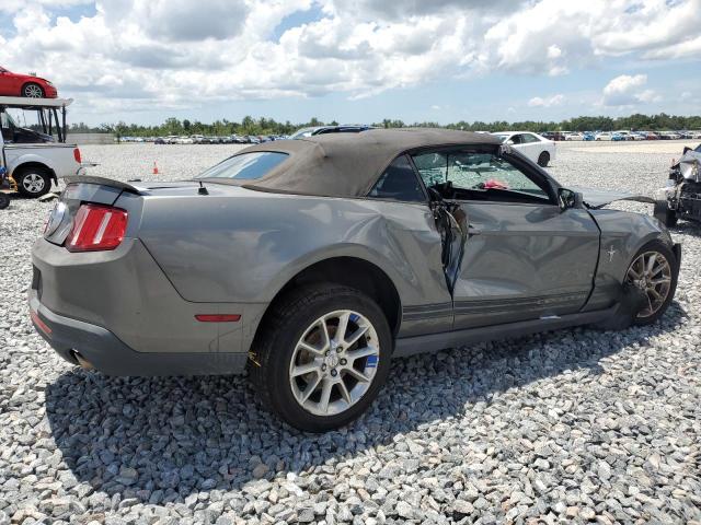 2010 FORD MUSTANG - 1ZVBP8EN1A5117708