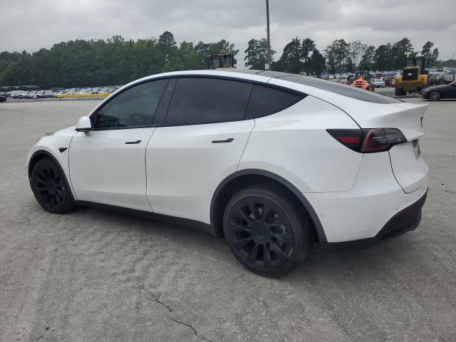 2020 TESLA MODEL Y 5YJYGDEE1LF011217