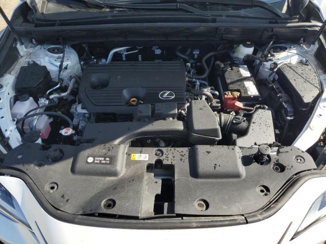2025 LEXUS NX 250 BAS 2T2ADCAZ1SC025730