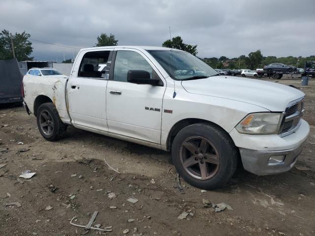 2010 DODGE RAM 1500 C - 1D7RB1CT3AS195553