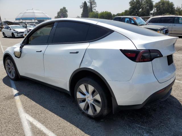2023 TESLA MODEL Y 7SAYGDEE5PF602269