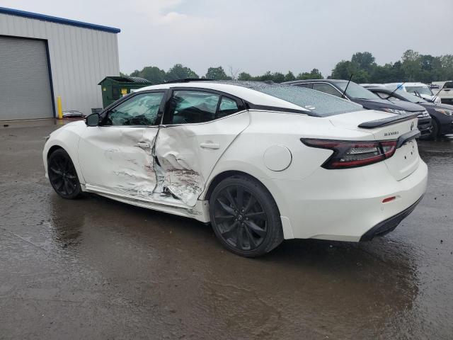 2023 NISSAN MAXIMA SR 1N4AA6EV6PC504933