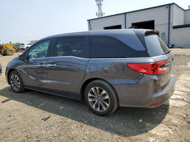 2023 HONDA ODYSSEY EX 5FNRL6H69PB058114