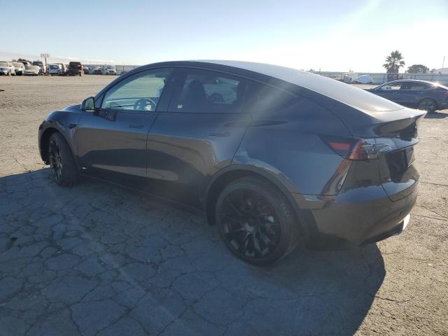 2024 TESLA MODEL Y 7SAYGDEE1RF025808