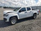 Lot #3303884739 2022 CHEVROLET COLORADO