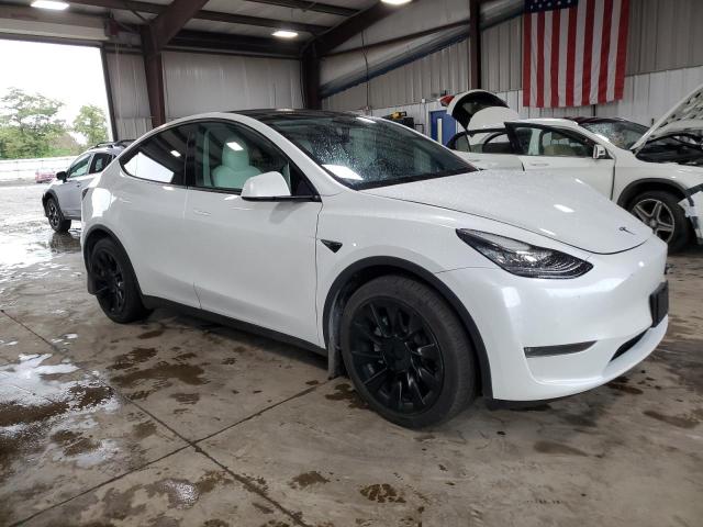2020 TESLA MODEL Y 5YJYGDEE3LF037172