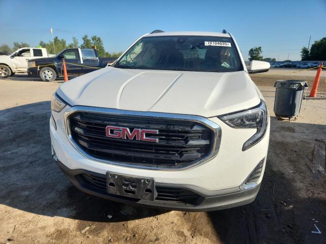2020 GMC TERRAIN SL 3GKALMEV5LL117978