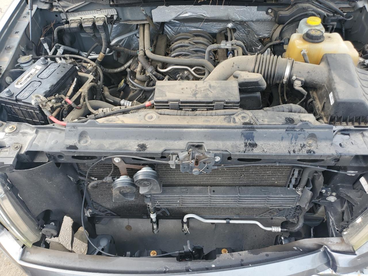 Lot #3242582569 2014 FORD F150 SUPER