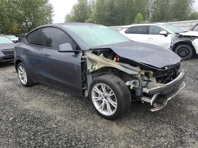 2023 TESLA MODEL Y 7SAYGDEE8PF762582