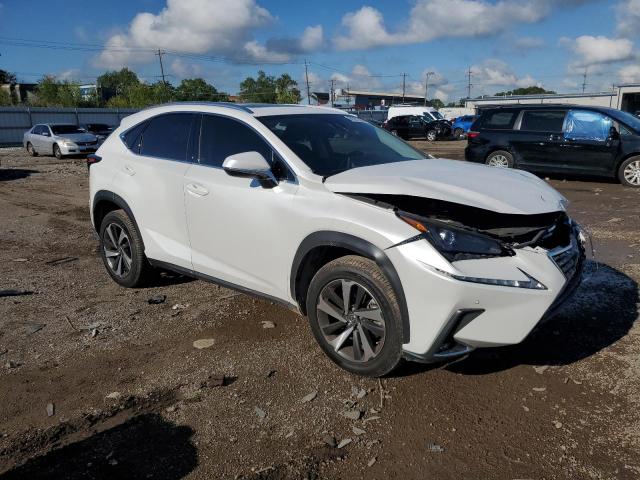 2020 LEXUS NX 300 JTJDARBZ8L5007667