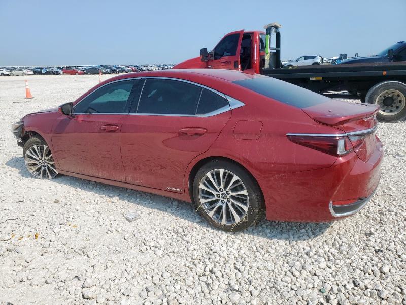 2020 LEXUS ES 300H 58AD21B15LU006305