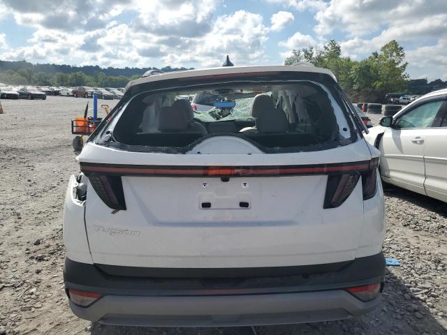 2025 HYUNDAI TUCSON LIM - 5NMJE3DE4SH566811