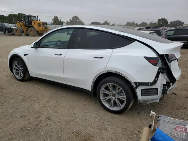 2022 TESLA MODEL Y 7SAYGDEE6NF522167