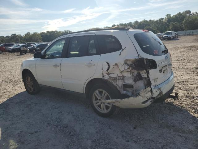 2010 HYUNDAI SANTA FE G - 5NMSG3AB3AH414770