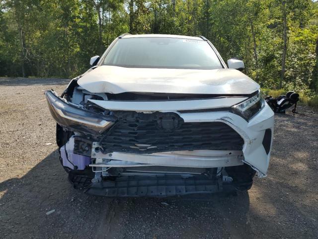 2023 TOYOTA RAV4 XLE 2T3R1RFV7PC378769