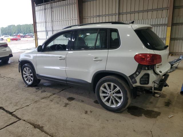 2017 VOLKSWAGEN TIGUAN S WVGAV7AXXHK043847