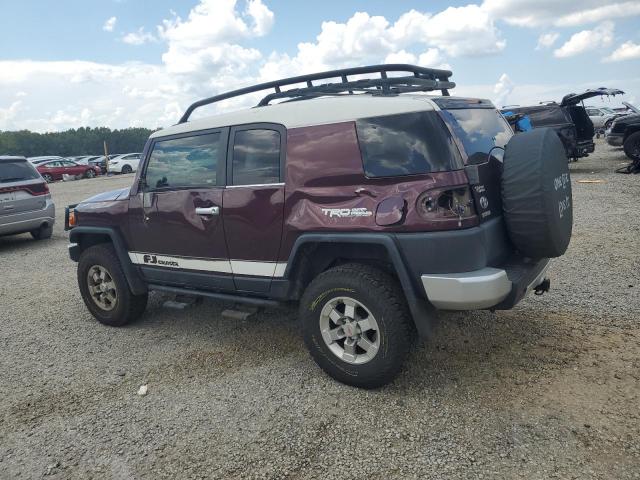 2007 TOYOTA FJ CRUISER #3290191256