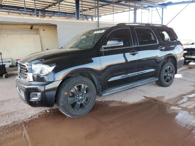 2019 TOYOTA SEQUOIA SR - 5TDBY5G18KS166148