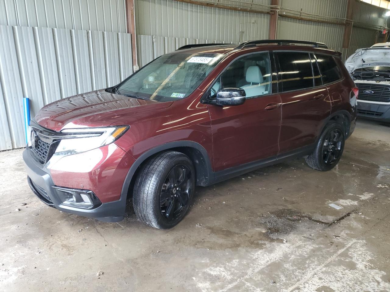 HONDA PASSPORT ELITE