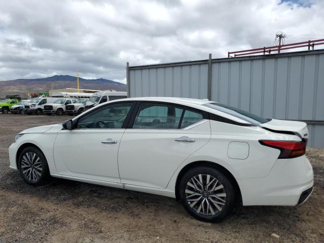 2025 NISSAN ALTIMA SV 1N4BL4DV5SN392773