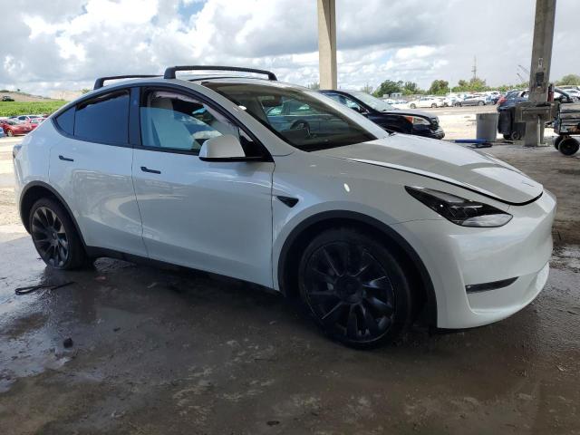 2024 TESLA MODEL Y 7SAYGDEE5RF157017