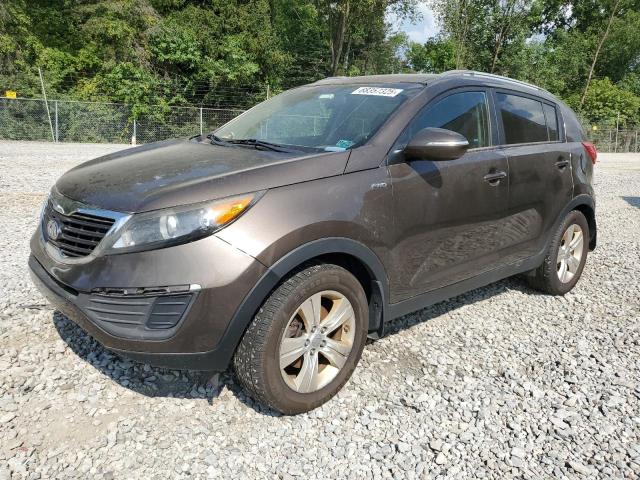 Global Auto Auctions: 2011 KIA SPORTAGE L