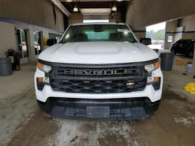 2023 CHEVROLET SILVERADO C1500 3GCNAAEK1PG362167
