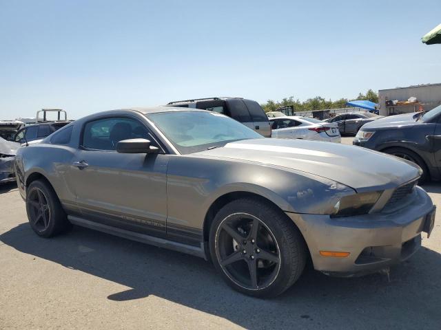 2010 FORD MUSTANG - 1ZVBP8AN2A5176157