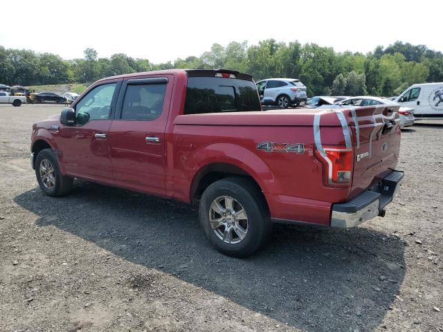 2015 FORD F-150 1FTEW1EP0FFB75855